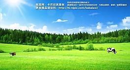 草原圖片