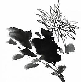 psd分层素材透明背景中国画水墨植物图片