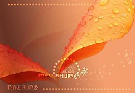 露珠時節(jié)圖片