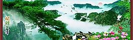松鶴延年圖片
