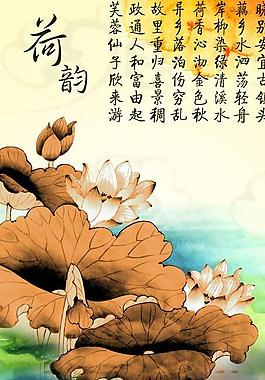 荷韻圖片