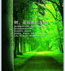 树林(分层不精细)图片