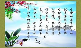 學(xué)校展板圖片