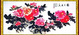 牡丹圖片