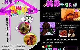 寵物狗 犬舍圖片