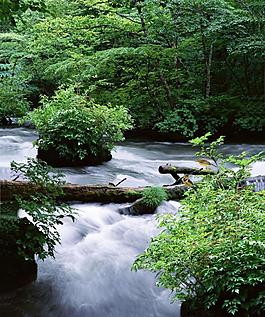 瀑布風(fēng)景圖片