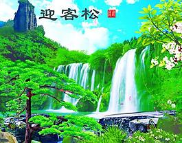 迎客松圖片