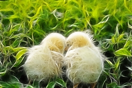 動(dòng)物炫光光影效果無(wú)框畫(huà)裝飾畫(huà)