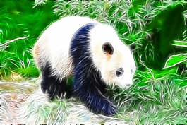 動(dòng)物炫光光影效果無(wú)框畫(huà)裝飾畫(huà)