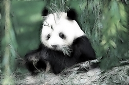 動物炫光光影效果無框畫裝飾畫