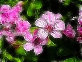 植物花卉炫光光影效果無(wú)框畫(huà)裝飾畫(huà)