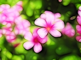 植物花卉炫光光影效果無(wú)框畫裝飾畫