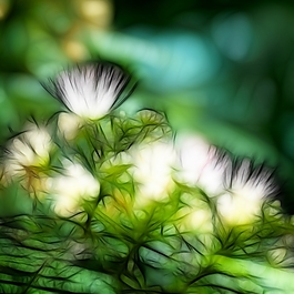 植物花卉炫光光影效果無框畫裝飾畫