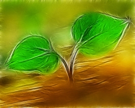 植物花卉炫光光影效果無(wú)框畫(huà)裝飾畫(huà)