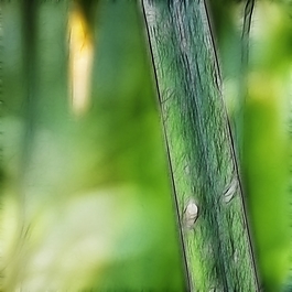 植物花卉炫光光影效果無(wú)框畫裝飾畫