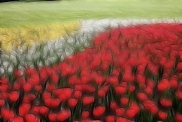 植物花卉炫光光影效果無(wú)框畫(huà)裝飾畫(huà)