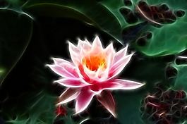 植物花卉炫光光影效果無(wú)框畫裝飾畫