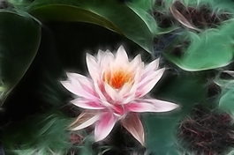 植物花卉炫光光影效果無(wú)框畫(huà)裝飾畫(huà)