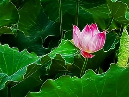 植物花卉炫光光影效果無框畫裝飾畫