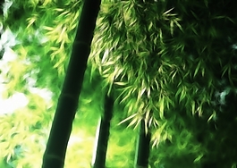 植物花卉炫光光影效果無框畫裝飾畫