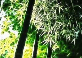 植物花卉炫光光影效果無(wú)框畫(huà)裝飾畫(huà)