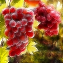 植物花卉炫光光影效果無框畫裝飾畫
