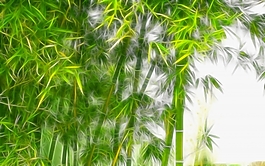 植物花卉炫光光影效果無框畫裝飾畫