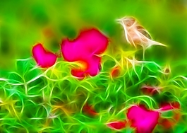 植物花卉炫光光影效果無(wú)框畫(huà)裝飾畫(huà)