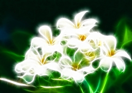 植物花卉炫光光影效果無框畫裝飾畫