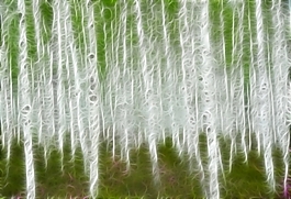 植物花卉炫光光影效果無(wú)框畫(huà)裝飾畫(huà)