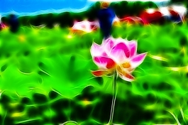 植物花卉炫光光影效果無(wú)框畫(huà)裝飾畫(huà)