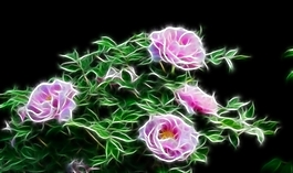 植物花卉炫光光影效果無框畫裝飾畫