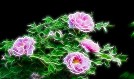 植物花卉炫光光影效果無框畫裝飾畫