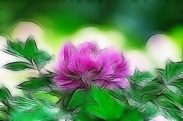 植物花卉炫光光影效果無框畫裝飾畫