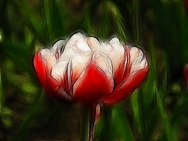 植物花卉炫光光影效果無(wú)框畫(huà)裝飾畫(huà)
