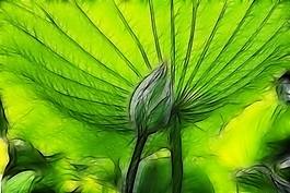植物花卉炫光光影效果無框畫裝飾畫