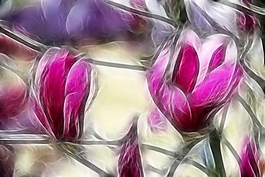 植物花卉炫光光影效果無(wú)框畫(huà)裝飾畫(huà)
