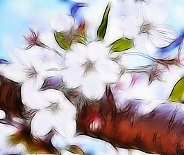 植物花卉炫光光影效果無(wú)框畫(huà)裝飾畫(huà)