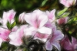 植物花卉炫光光影效果無(wú)框畫(huà)裝飾畫(huà)