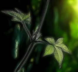 植物花卉炫光光影效果無框畫裝飾畫