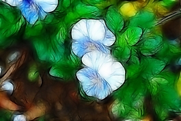 植物花卉炫光光影效果無(wú)框畫(huà)裝飾畫(huà)