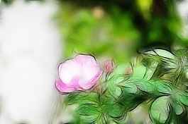 植物花卉炫光光影效果無框畫裝飾畫