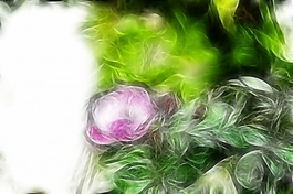 植物花卉炫光光影效果無(wú)框畫裝飾畫