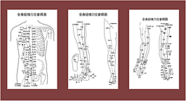 經絡穴位圖