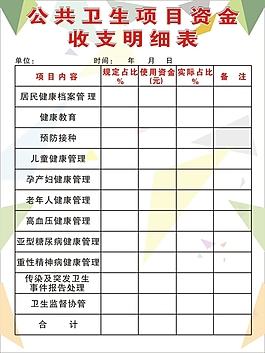 公共衛生項目資金收支明細表