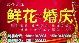 婚庆图片