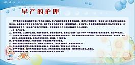 妇科图板图片