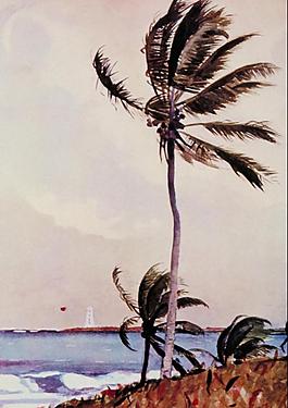 油畫(huà)圖片