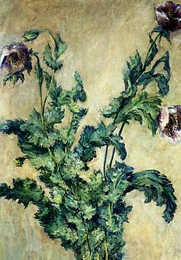 花卉油畫(huà)圖片