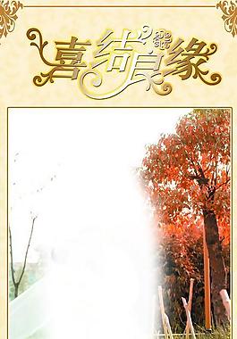 婚慶展架圖片